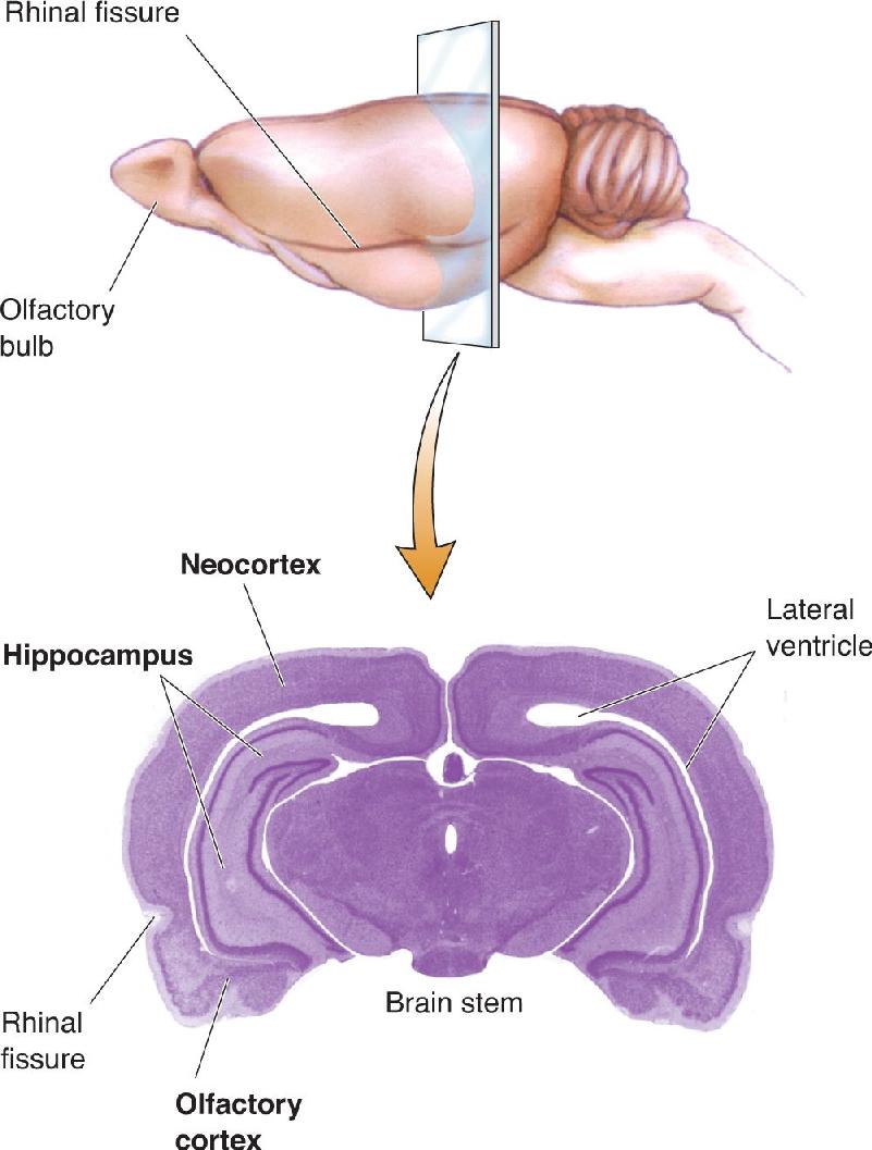 Ch 7 fig (p. 0)