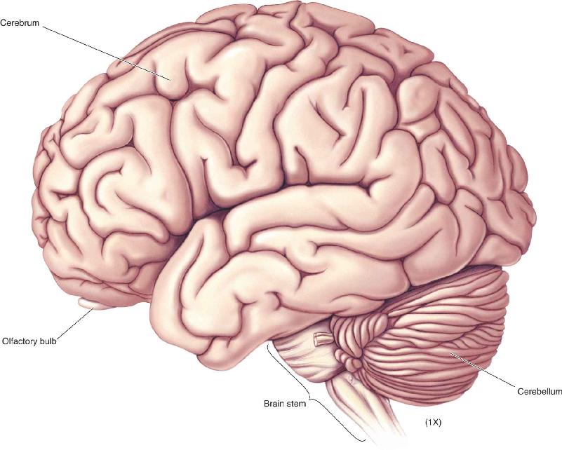 Ch 7 fig (p. 0)