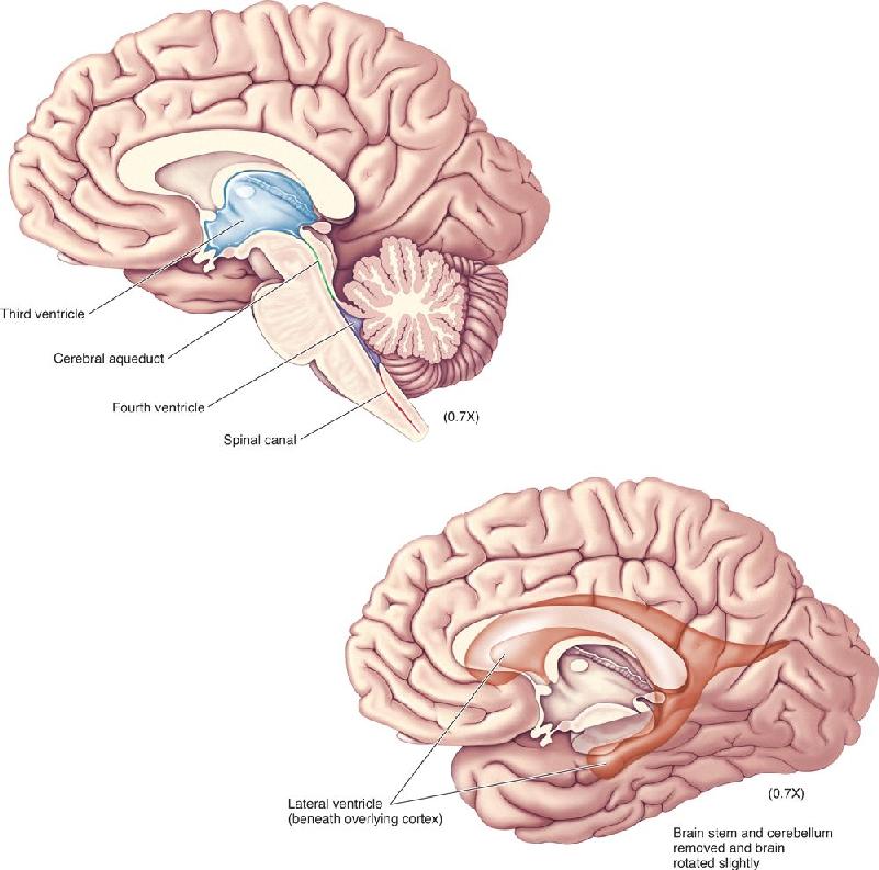 Ch 7 fig (p. 0)