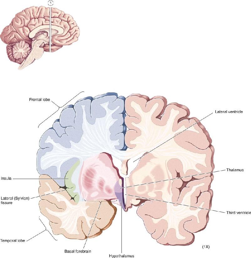 Ch 7 fig (p. 0)