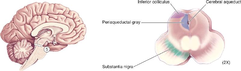 Ch 7 fig (p. 0)