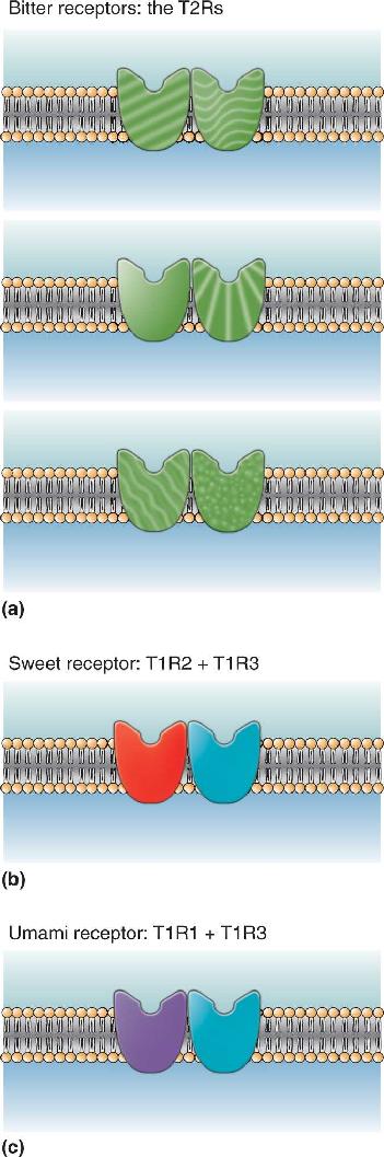 Ch 8 fig (p. 0)