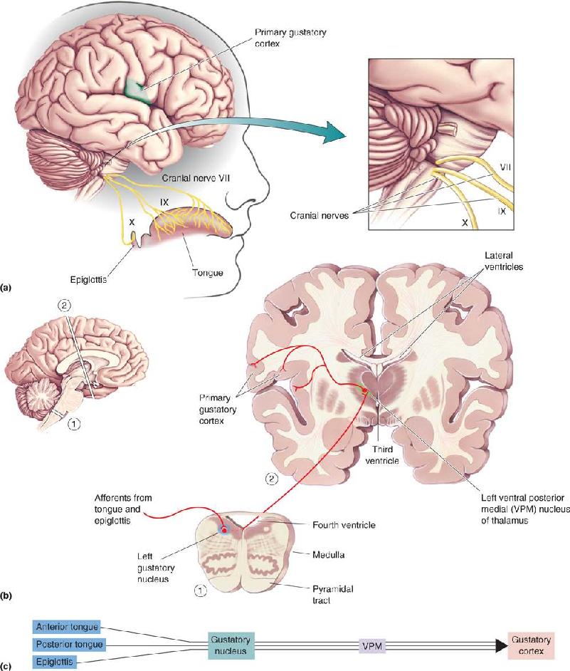 Ch 8 fig (p. 0)