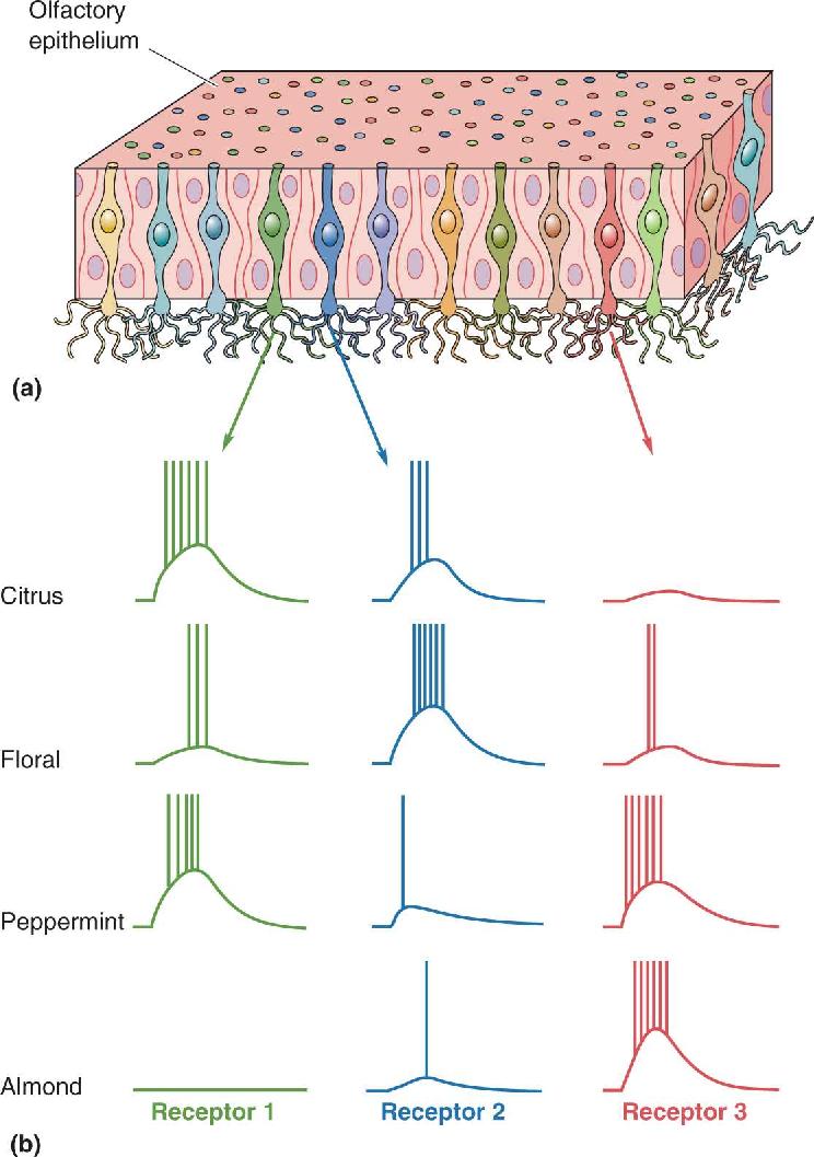 Ch 8 fig (p. 0)