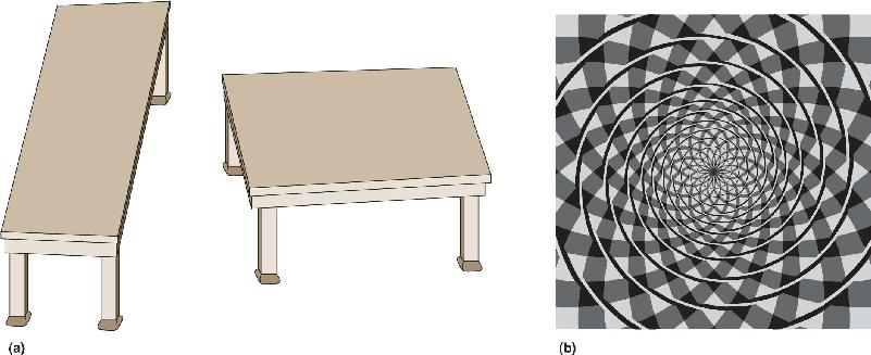 Ch 10 fig (p. 0)