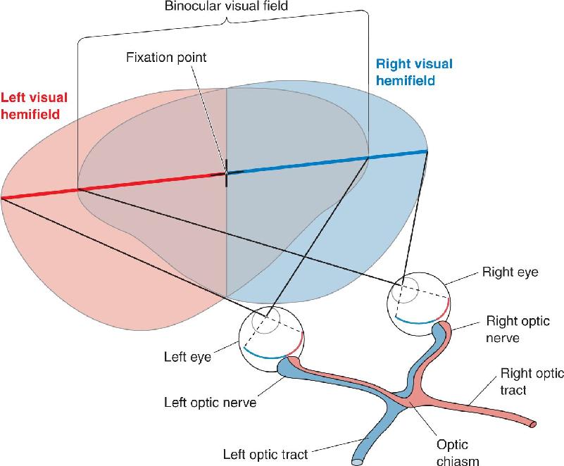 Ch 10 fig (p. 0)