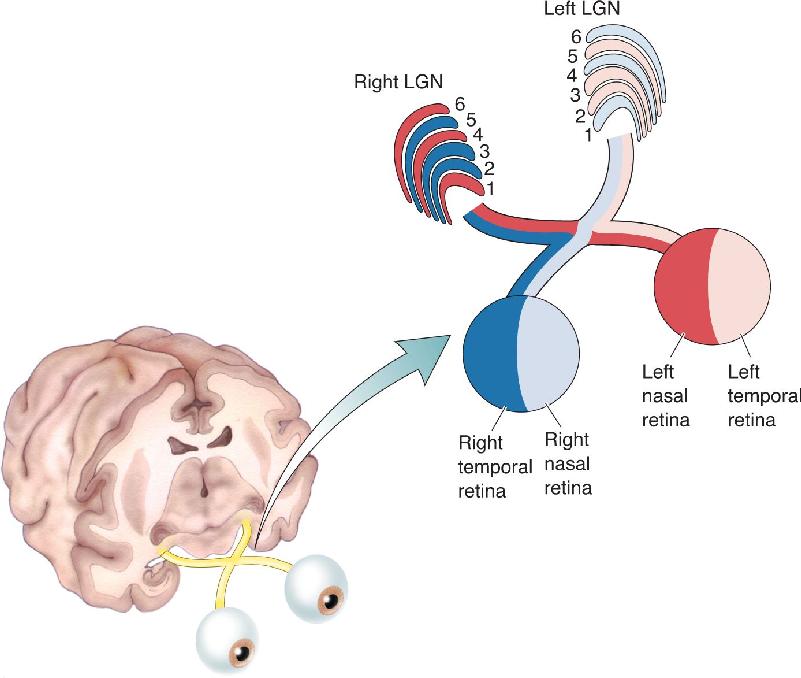 Ch 10 fig (p. 0)