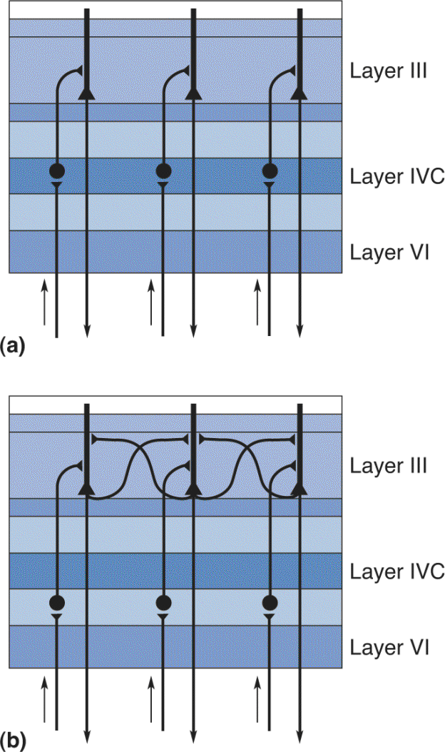 Ch 10 fig (p. 0)