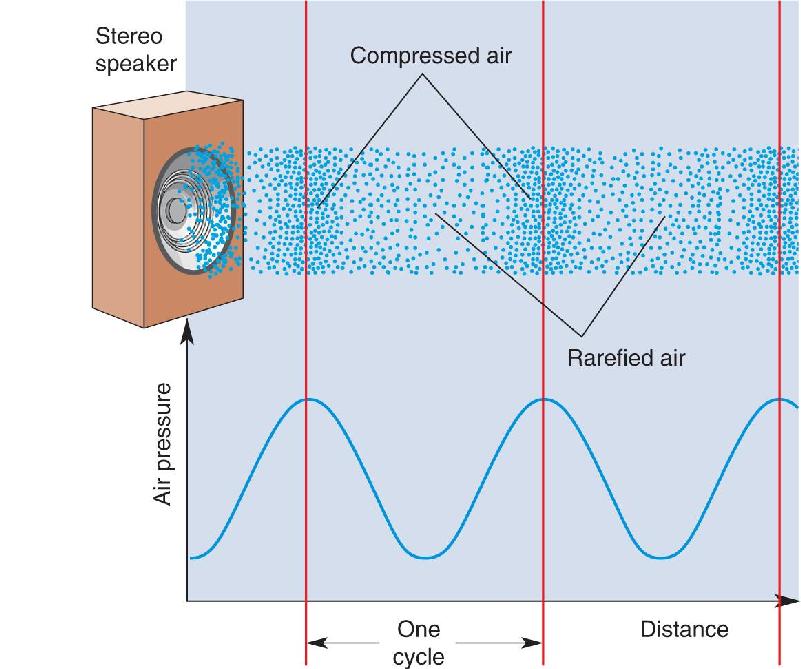 Ch 11 fig (p. 0)
