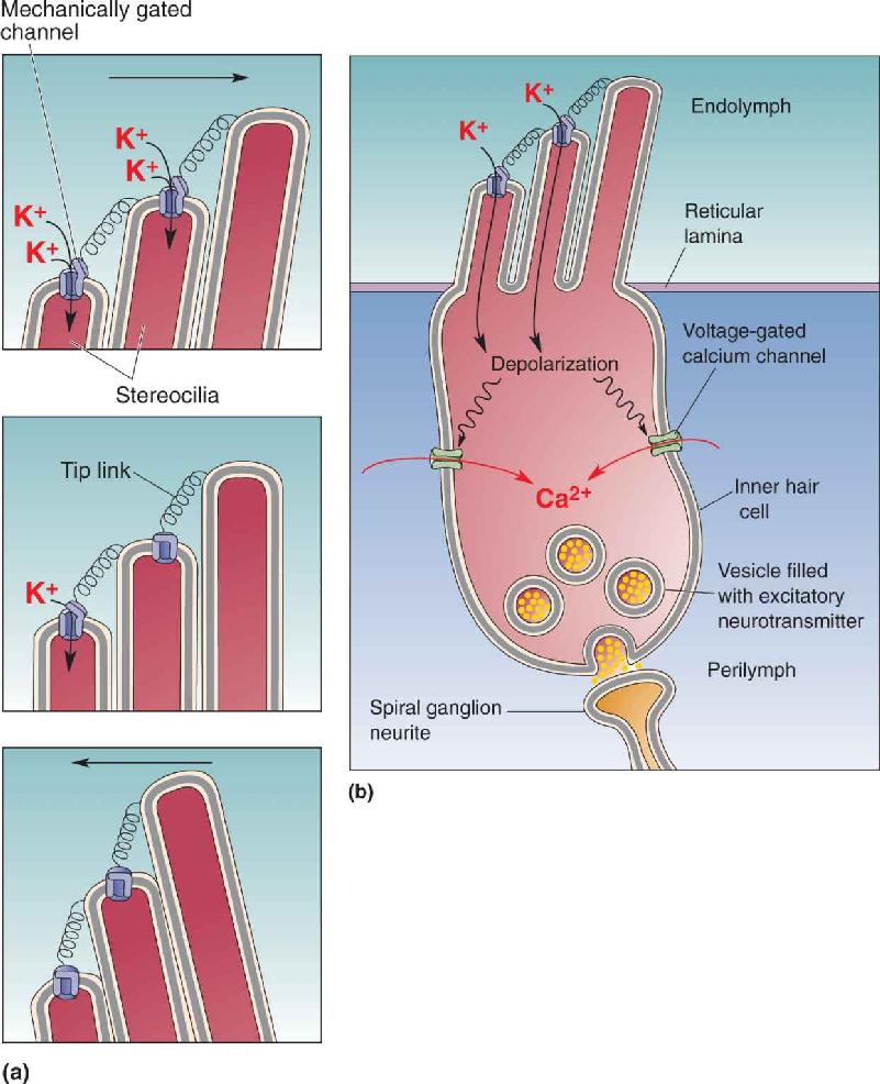 Ch 11 fig (p. 0)