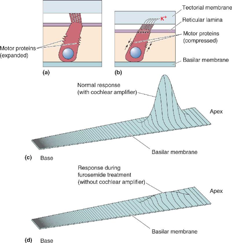 Ch 11 fig (p. 0)