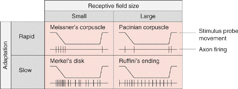 Ch 12 fig (p. 0)
