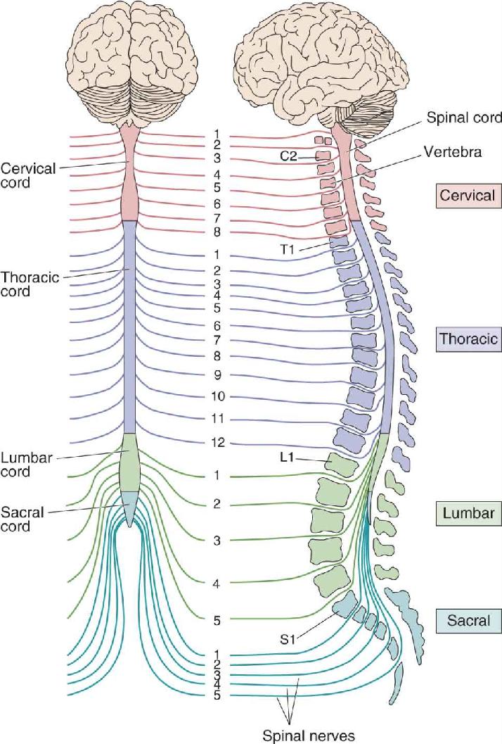 Ch 12 fig (p. 0)
