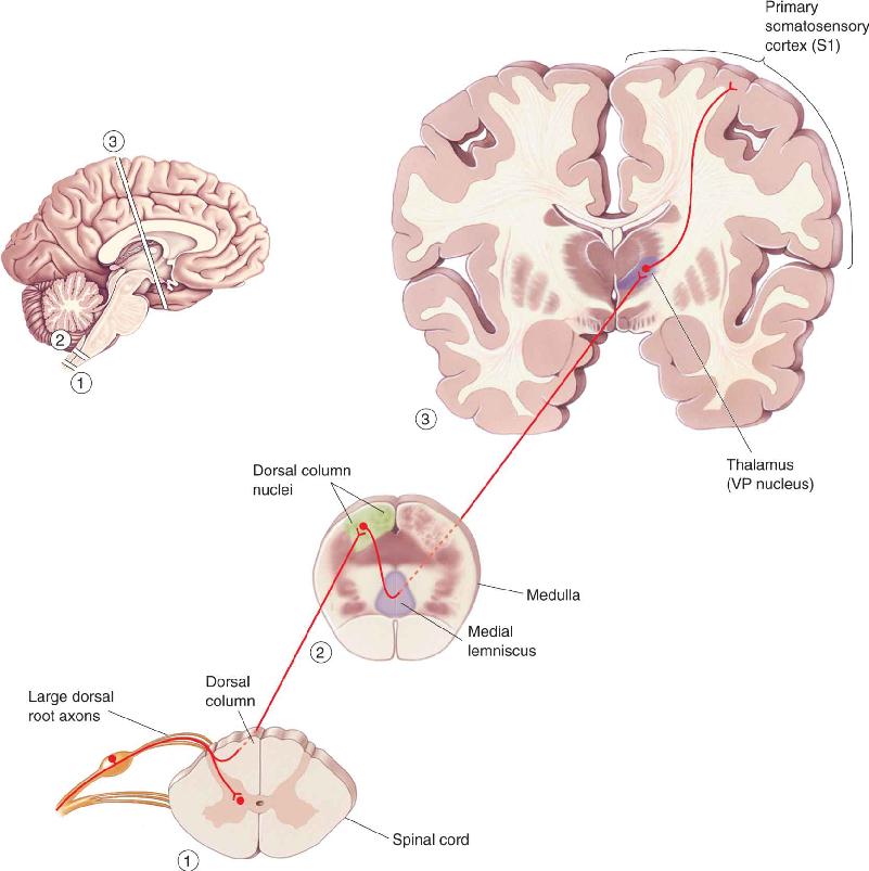 Ch 12 fig (p. 0)