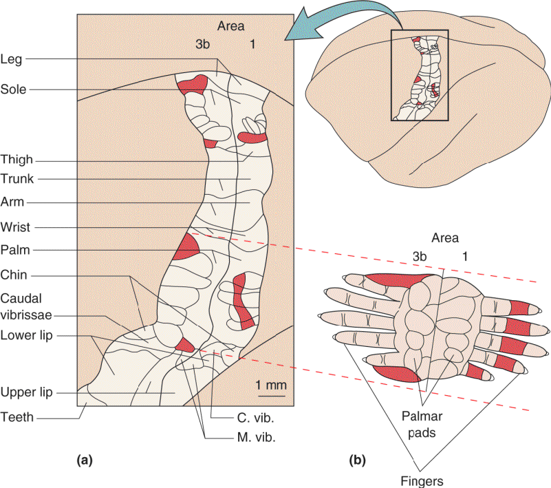 Ch 12 fig (p. 0)