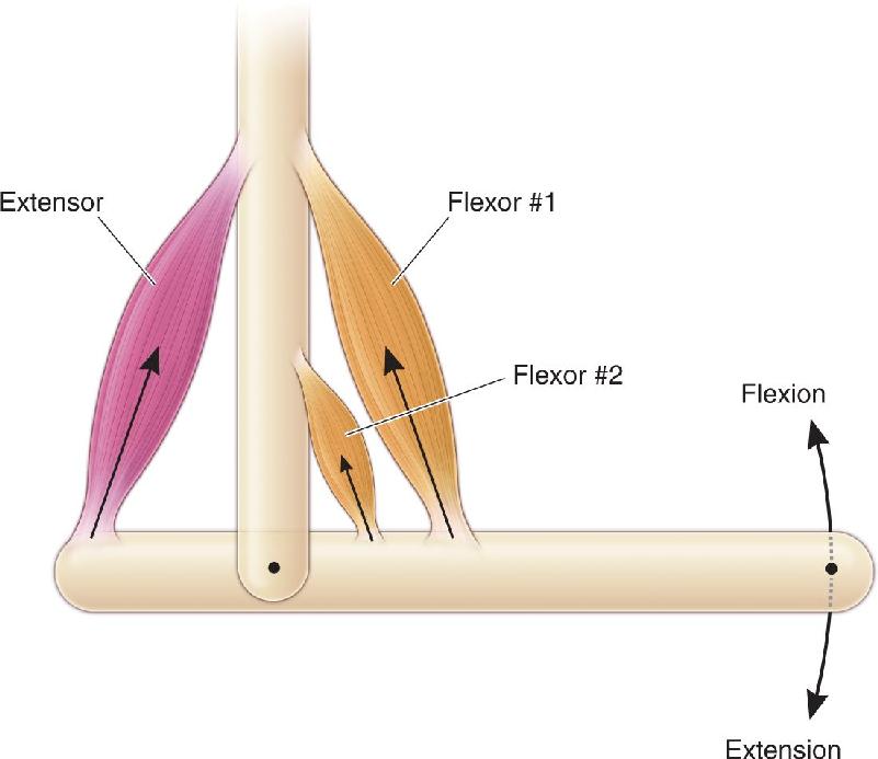 Ch 13 fig (p. 0)