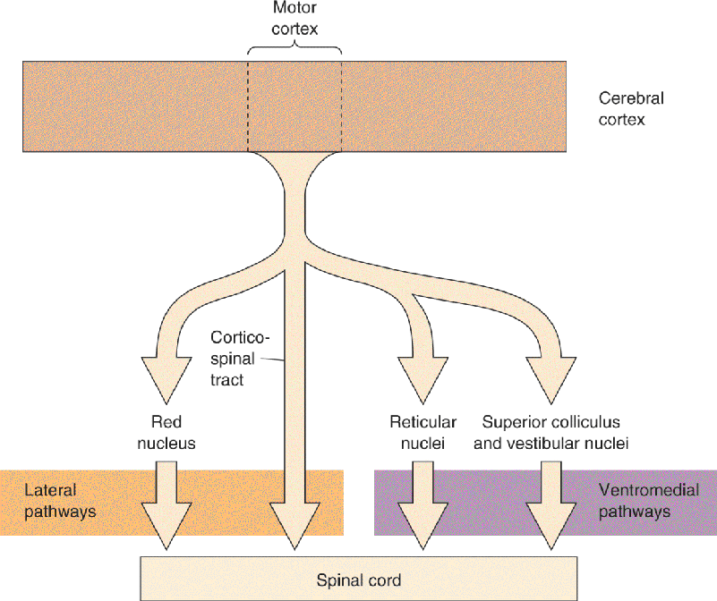 Ch 14 fig (p. 0)