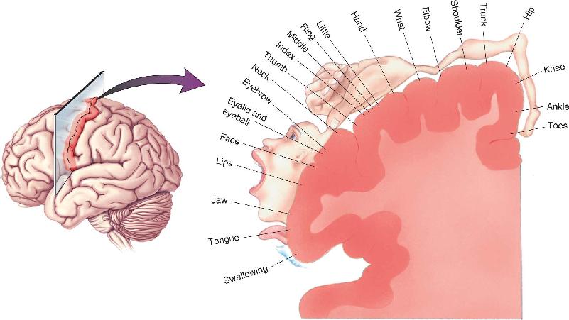 Ch 14 fig (p. 0)