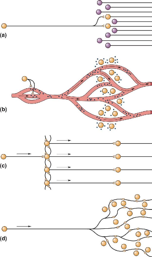 Ch 15 fig (p. 0)