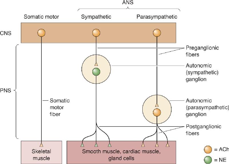 Ch 15 fig (p. 0)