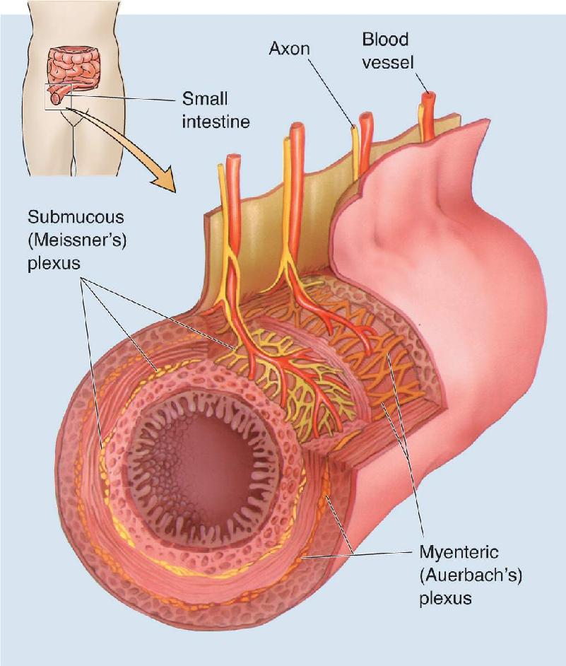 Ch 15 fig (p. 0)