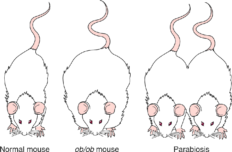 Ch 16 fig (p. 0)