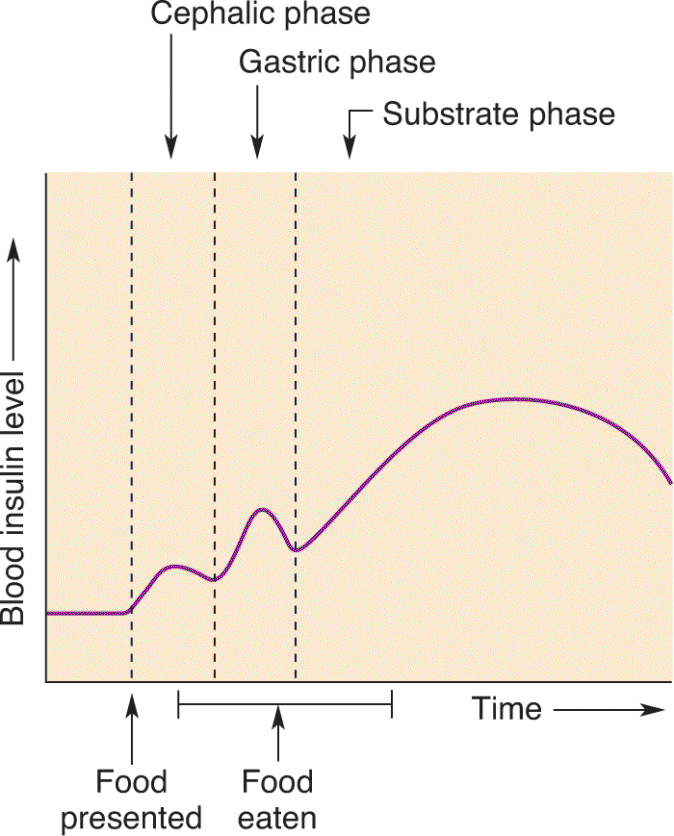 Ch 16 fig (p. 0)