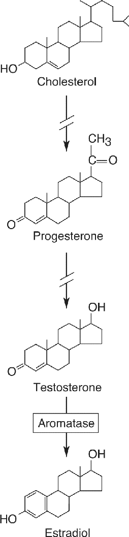 Ch 17 figure
