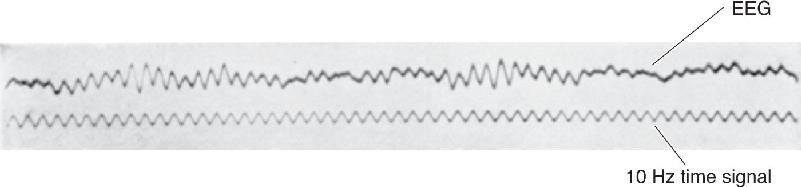 Ch 19 fig (p. 0)