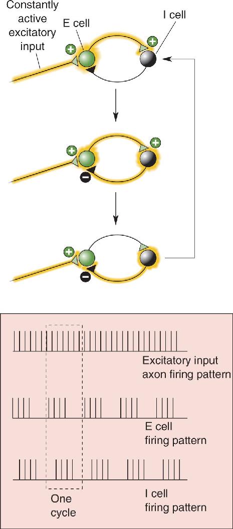 Ch 19 fig (p. 0)