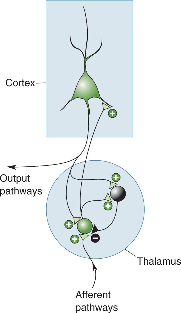 Ch 19 fig (p. 0)
