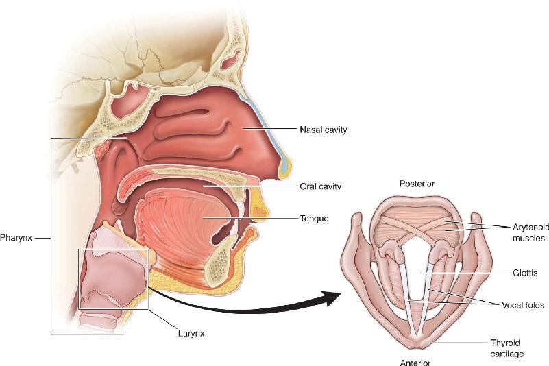 Ch 20 fig (p. 0)
