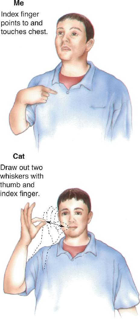 Ch 20 fig (p. 0)