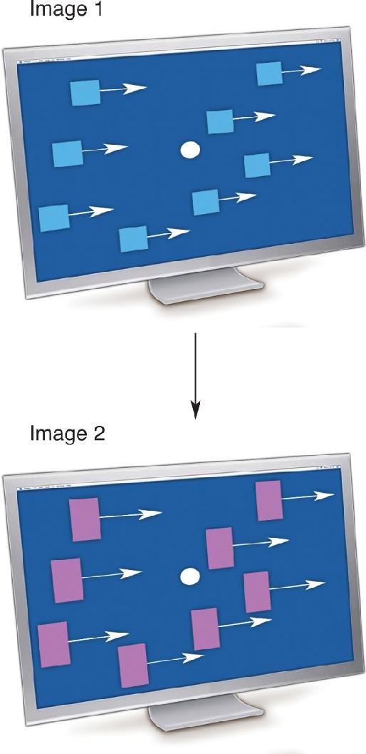 Ch 21 fig (p. 0)