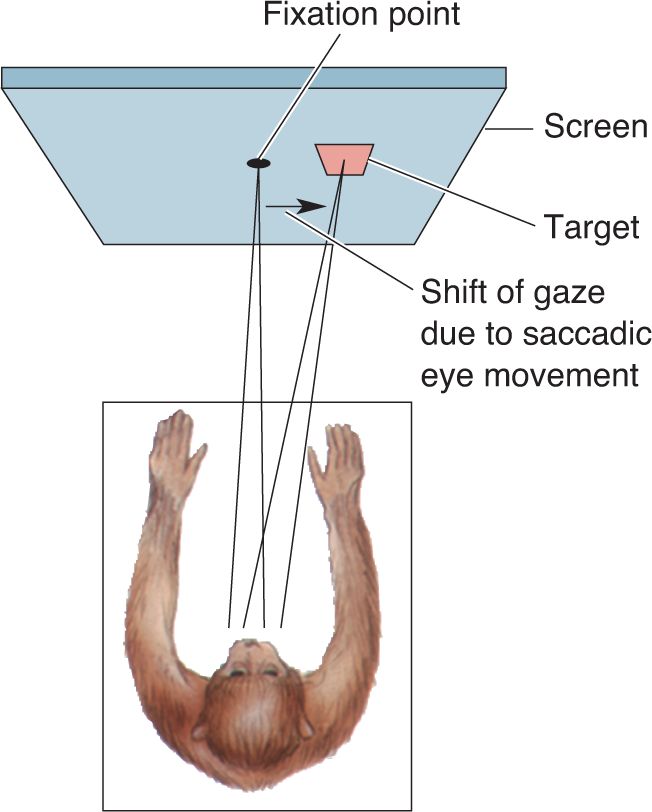 Ch 21 fig (p. 0)