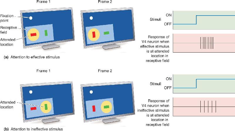 Ch 21 fig (p. 0)