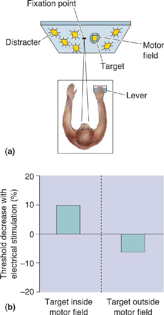 Ch 21 fig (p. 0)