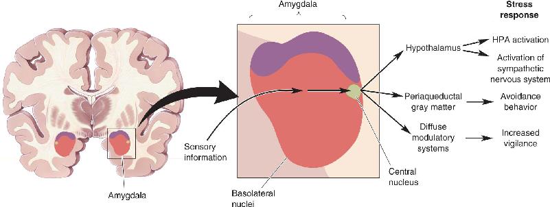 Ch 22 fig (p. 0)