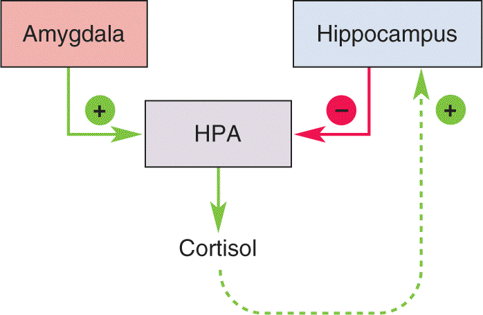 Ch 22 fig (p. 0)