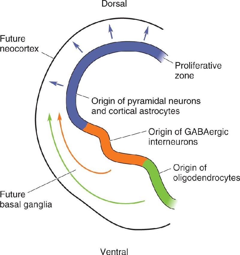 Ch 23 fig (p. 0)