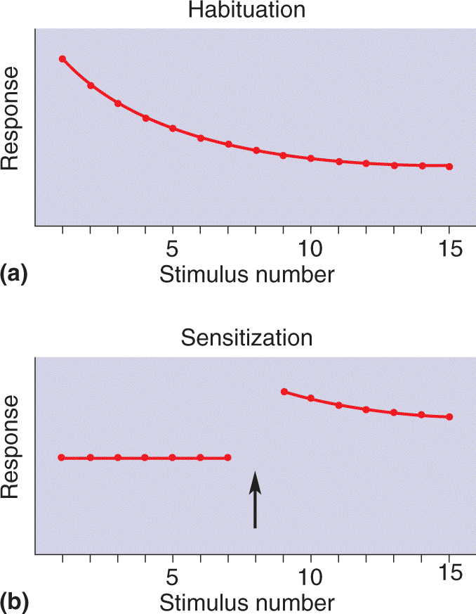 Ch 24 fig (p. 0)
