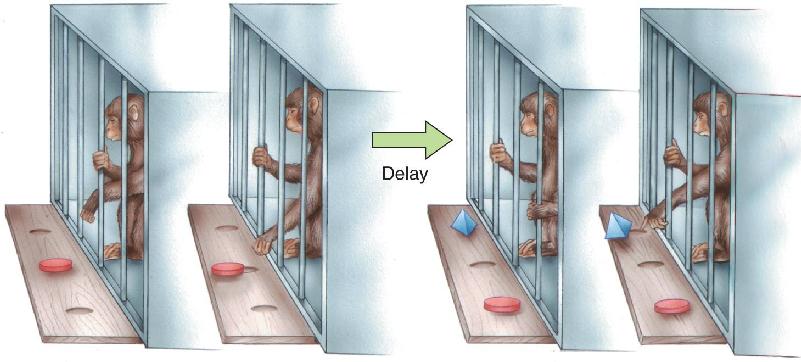Ch 24 fig (p. 0)