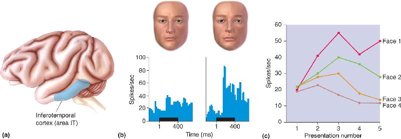 Ch 25 fig (p. 0)